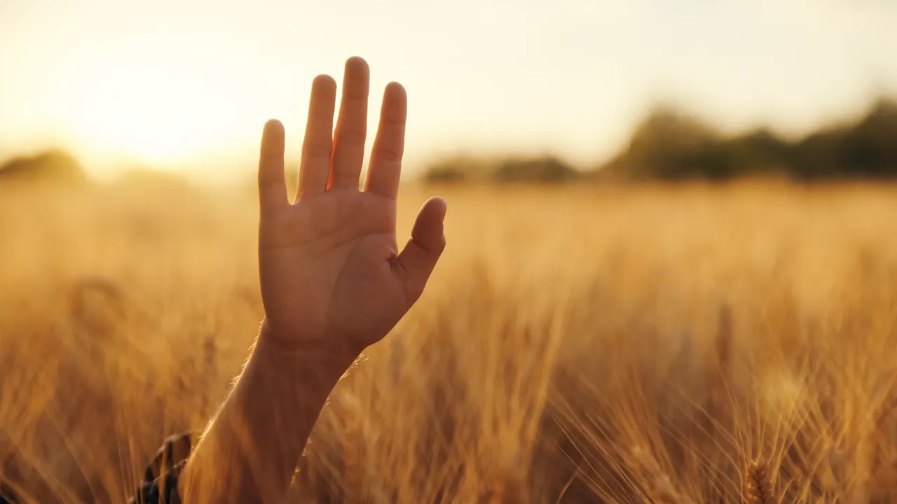 Lesson 21: Play Day – Practice Saying No Without Apology